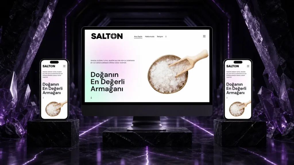 Salton Salt web sitesi tasarımı